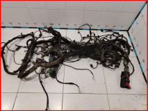 Проводка моторная Ford Mondeo 4 2010-2014 2.0 TNBB оригинал (1810698)